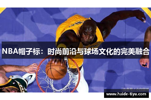 NBA帽子标：时尚前沿与球场文化的完美融合