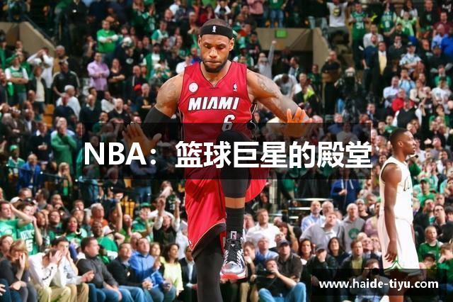 NBA：篮球巨星的殿堂